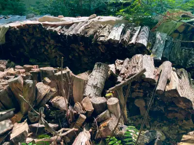 Firewood- best offer, View more
