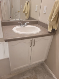 Free bathroom vanity cabinet set