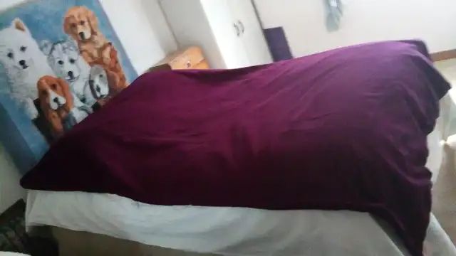 Duvet cover in Bedding in Guelph - Image 3