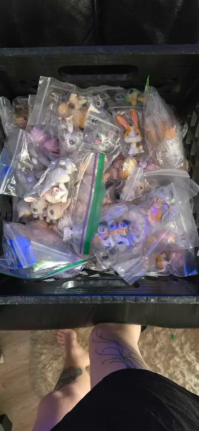 Hasbro Authentic Littlest Pet Shops for sale , View more