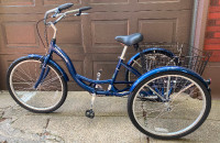 Hampton Roadmaster Adult Tricycle