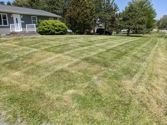 Annapolis Valley Lawn Care Provider in Lawn, Tree Maintenance & Eavestrough in Annapolis Valley - Image 2