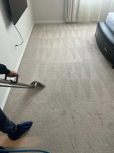 Carpet and sofa and mattress cleaning , View more