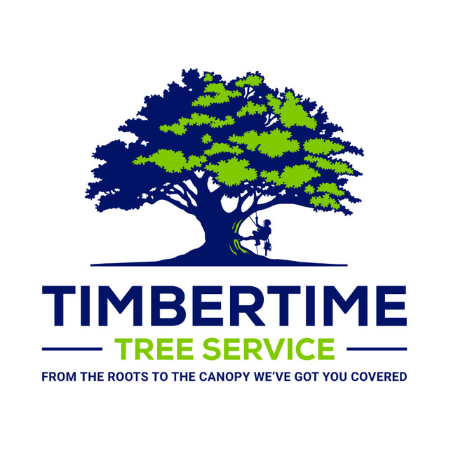 Tree Care and Service in Lawn, Tree Maintenance & Eavestrough in Oshawa / Durham Region