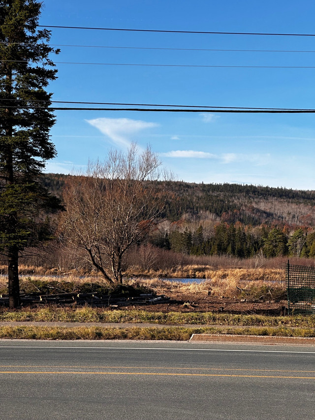 Prime Water Front Paradise in Cape Breton in Land for Sale in Cape Breton - Image 4