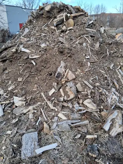 Free fill, View more