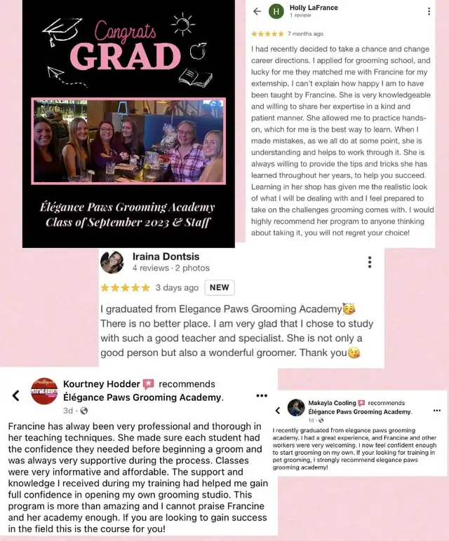 Dog Grooming Course Shediac Cape! in Animal & Pet Services in Moncton - Image 3