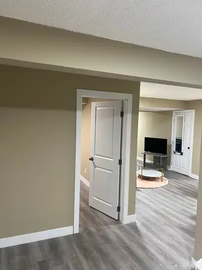 Brand new 2 bedrooms  walkout Basement