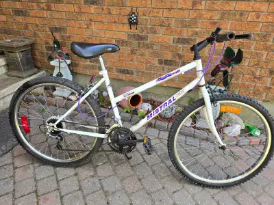 NORTHLAND MISTRAL Bike. 26"wheels size.  20"frame size.  Works p, View more