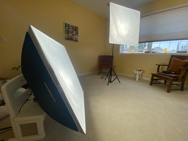 Professional Video/Photo Lighting in Cameras & Camcorders in Calgary - Image 2