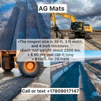 Ag mats PRICE REDUCED 3x38'