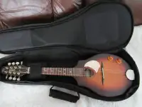 S8 Electric/acoustic mandolin Sunburst EQ