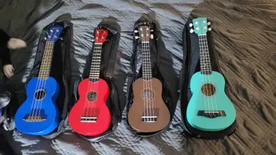 40 bucks each! Basic case included. Dark blue is abs plastic. The rest are made of wood. All keep tu...