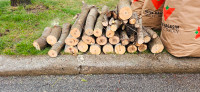 Free firewood pickup