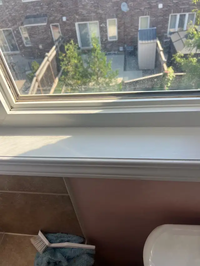 cleaning service 100$566535496580485125