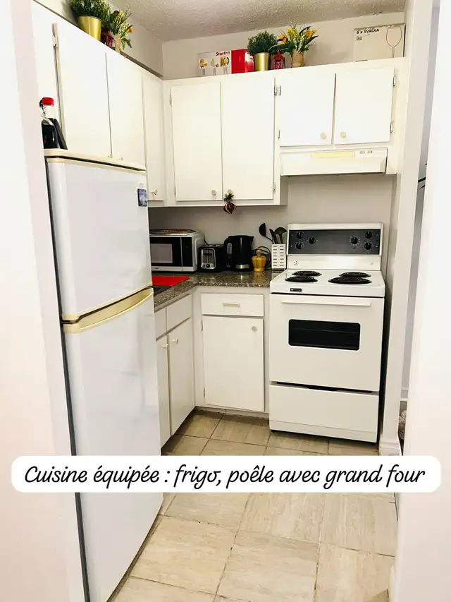 CESSION DE BAIL - GRAND STUDIO 1145$  PROCHE METRO ET REM in Long Term Rentals in City of Montréal - Image 8