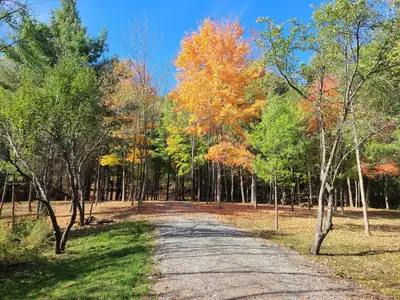 NOW NO HST ON NEW HOME BUILDS IN ONTARIO! Trailside at Chaffeys is an exciting new estate residentia...