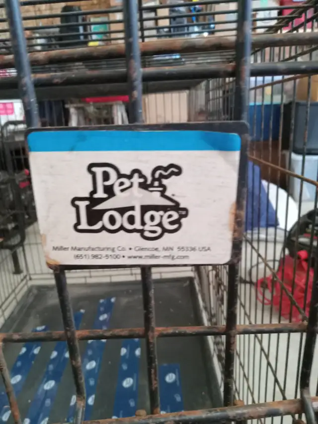Pet Lodge Double Door Dog Crate  Extra Large  Metal Black in Accessories in Owen Sound - Image 3
