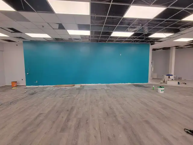 Handyman/Painter/Contractor64988204532483127
