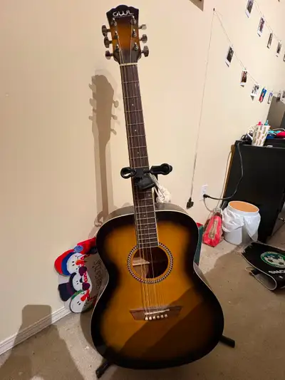 George Washburn Limited Acoustic Guitar, View more