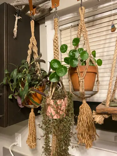 Macrame plants hunger, View more