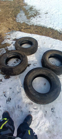 Firestone winter tires