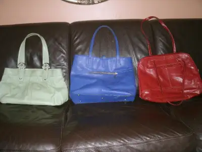 3 Purses .Green one is a made by Coach $20.Red and Blue $10 each.Located at Taranaki Dr,Forest Hills...