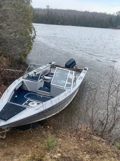 Princecraft super pro 176 with a 60hp evinrude new gas tank new gas line new garmin striker Vivid 4C...