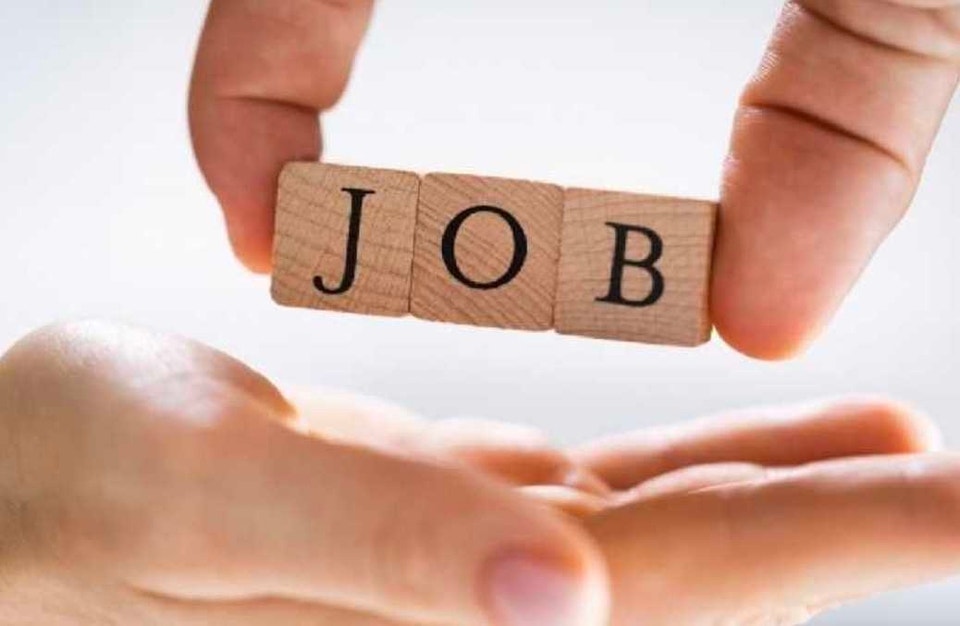 Looking for part time employee for Sugarcane cutting | General Labour ...