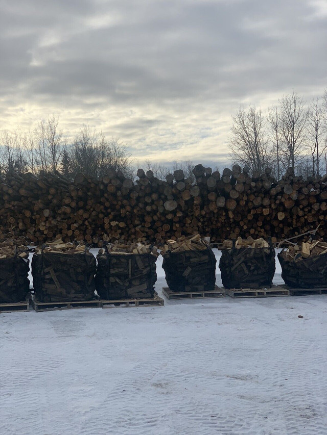 Blackline Ranch Firewood SALES / FREE DELIVERY in Fireplace & Firewood in Edmonton - Image 3