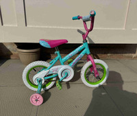 12 inch bike for kids