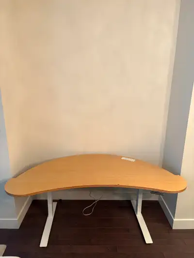 Large standing desk in great condition. Has a little bit of wear on the surface, but everything work...
