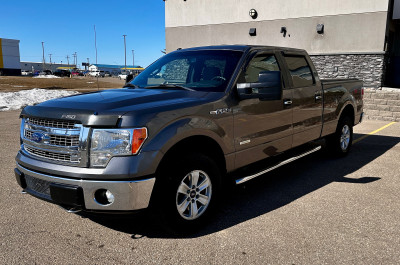 2013 F-150 XTR