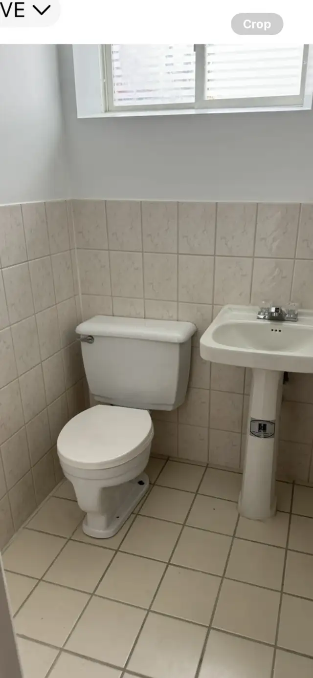 basement apt in Long Term Rentals in City of Toronto - Image 5