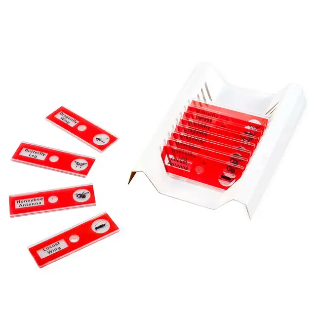 Educational Insights GeoSafari Microscope Slide Set in Toys & Games in City of Montréal - Image 4