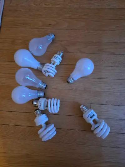 Light Bulbs, View more