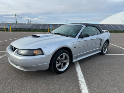 2001 Ford Mustang GT Convertible 5 Speed 