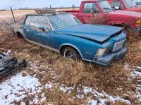 Late 1970's Chevy Monte Carlo Parts Car