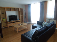 Fully Furnished One Bedroom Condo / Condo meublé 1 Chambre