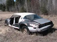 1979 trans am possible street stock