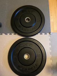 Two 25Lbs bumper plates 