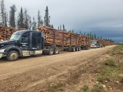 Log haul driver class 1, View more