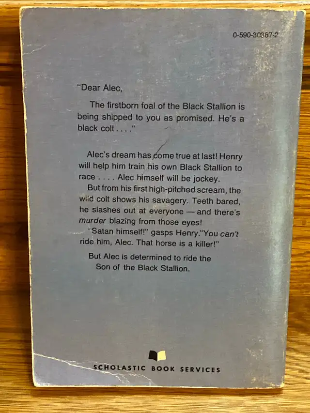 Son of the Black Stallion by Walter Farley vintage paperback  in Fiction in Oshawa / Durham Region - Image 3