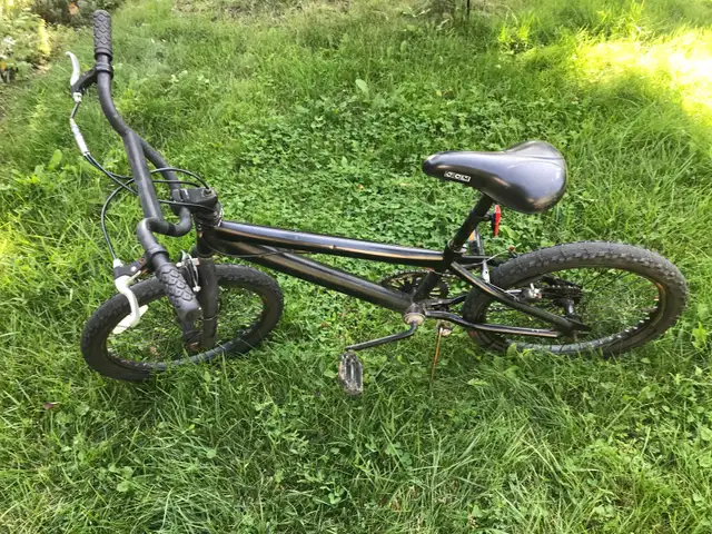 Kids bicycle 20 in Kids in Mississauga / Peel Region - Image 4