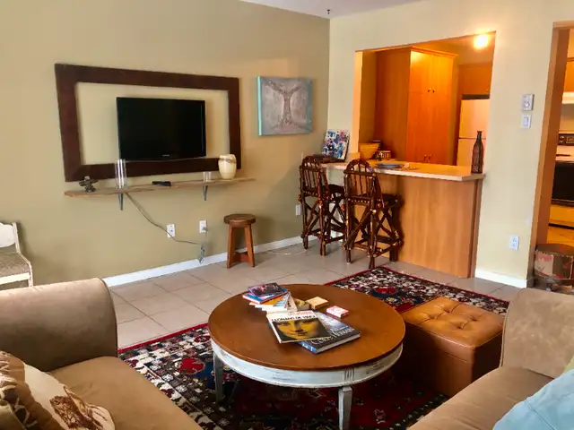 Beautiful bachelor apartment furnished by the lake62864759342337121