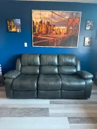 1 year old reclining sofa grey in color