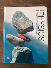 Physics - Principles and Problems