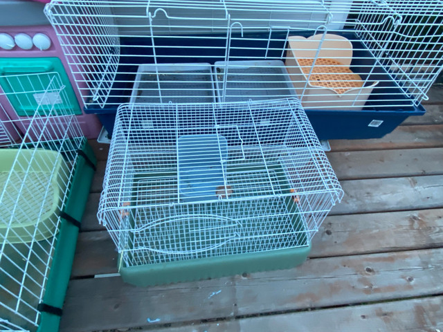 Pet cage in Other in Nelson - Image 2
