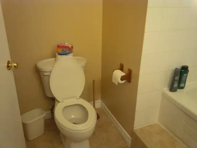 Private Room with a walkout basement in Mississauga in Room Rentals & Roommates in Mississauga / Peel Region - Image 4
