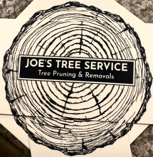 Certified arborist / tree climbing service62863255228801123